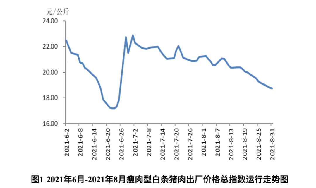 最新肉猪价及其对市场的冲击影响分析